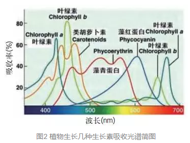 QQ截图20170824100144