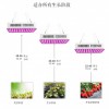 600W-32孔x3 120V多光谱线性植物灯 美规