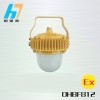 江苏欧辉厂家直销OHBF812 40w-80w防爆平台灯