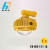 江苏欧辉厂家直销OHBF813L LED防爆路灯