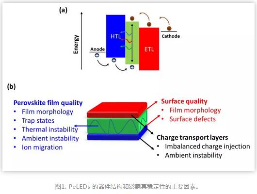 QQ截图20190611102622