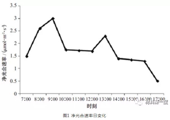 QQ截图20190624153854