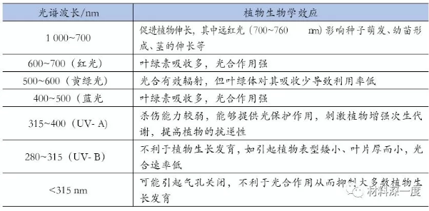 QQ截图20190624153903