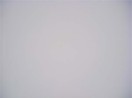 1573457982248072314.png