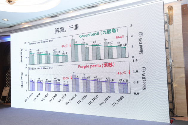 钮根花--美国德州农工大学教授 (1)